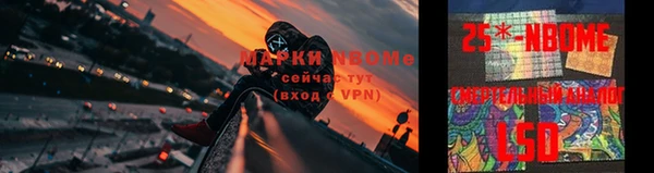 метадон Козловка
