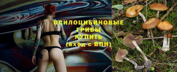 спиды Козельск