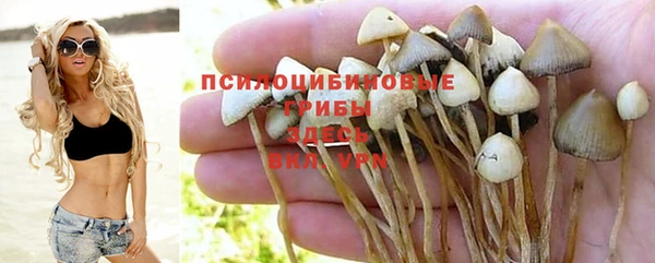 ALPHA PVP Кодинск