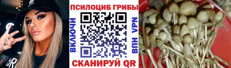 Галлюциногенные грибы мицелий  Майский 